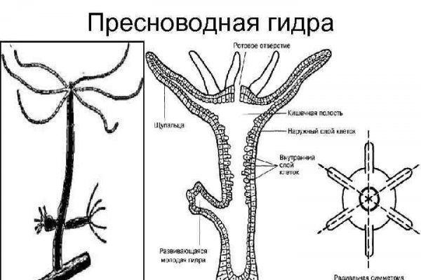 Ссылки на даркнет