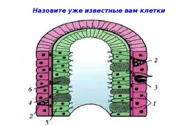 Кракен маркетплейс что продают