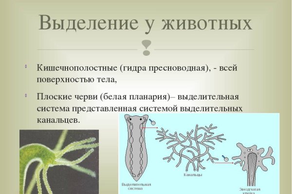 Что такое кракен маркетплейс курительный смесс